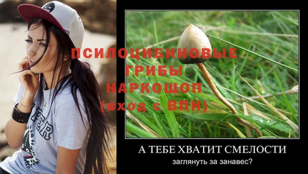 винт Пестово
