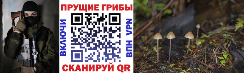 Галлюциногенные грибы мухоморы  kraken ССЫЛКА  Полтавская  закладка 